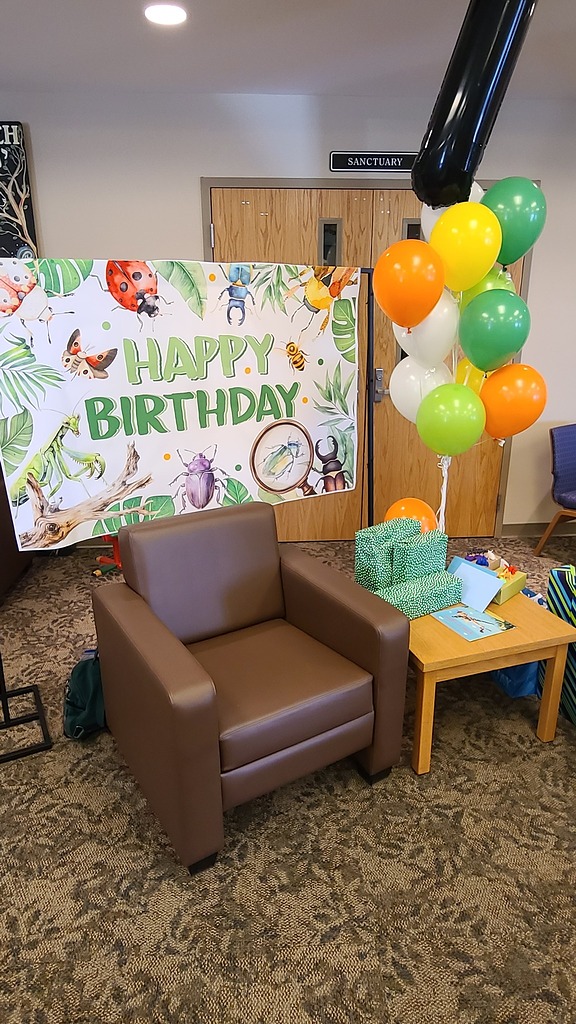 Insect-themed birthday party decorations featuring a Happy Birthday banner, green gift boxes, and colorful balloons.