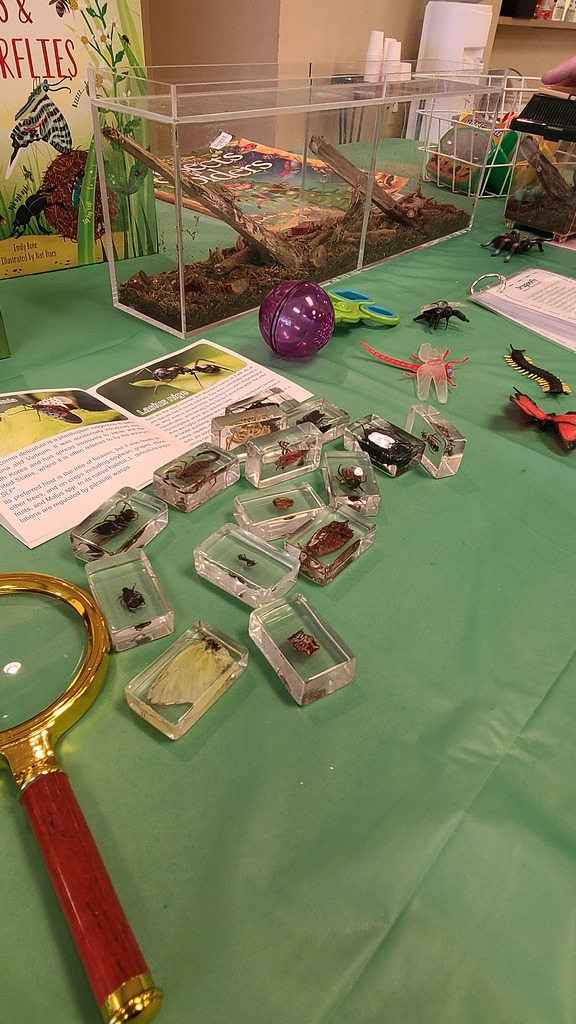 Educational display table with insect specimens preserved in resin blocks, a magnifying glass, and books.