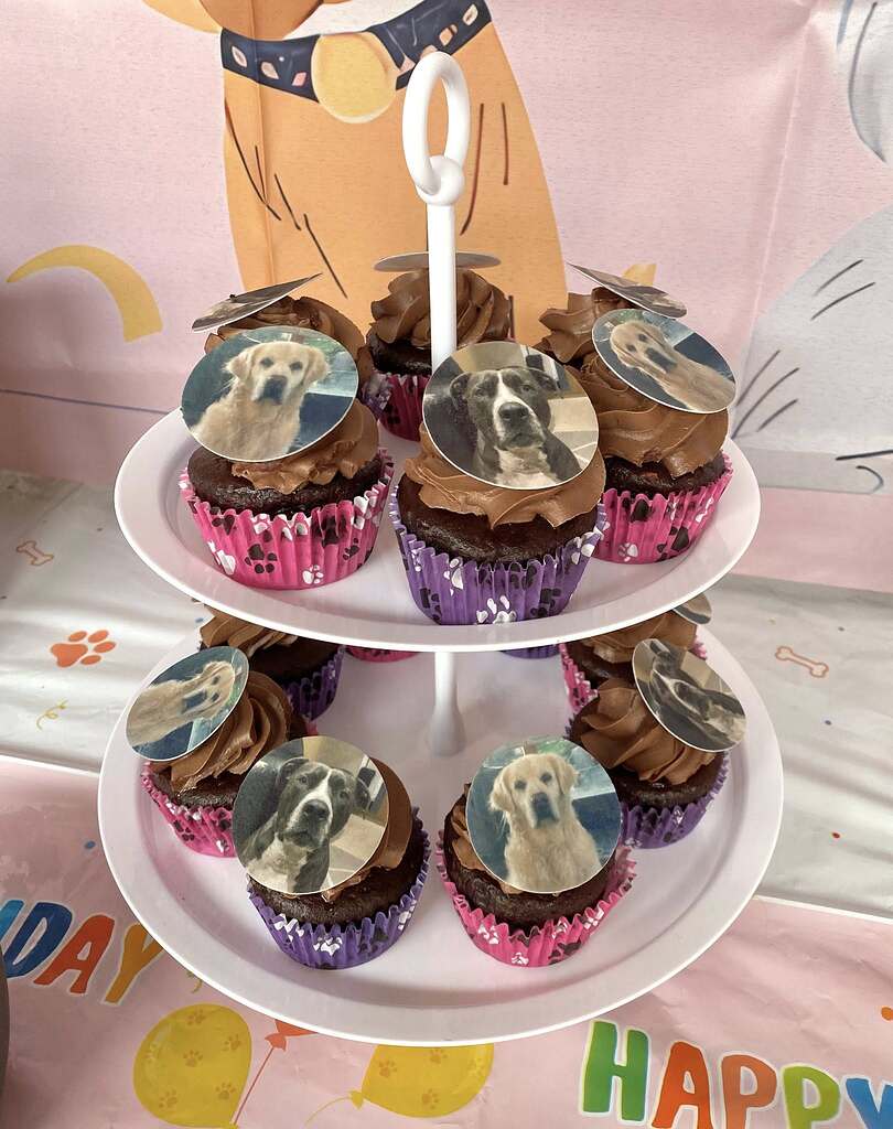 Two-tier stand of chocolate cupcakes with custom dog photo toppers on pink paw print liners